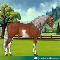 Horse Color:White Spotted Silver Brown Splash