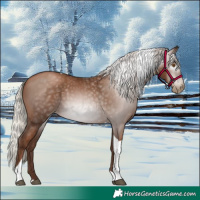 Horse Color:Gray Silver Black Pearl Tobiano 