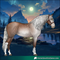 Horse Color:Gray Silver Black Pearl Tobiano
