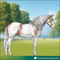 Horse Color:White Spotted Silver Bay Splash