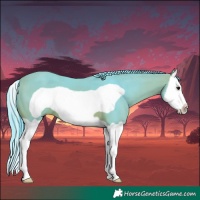 Horse Color:Watercolor Bay Splash Frame 