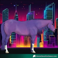 Horse Color:Watercolor Bay 