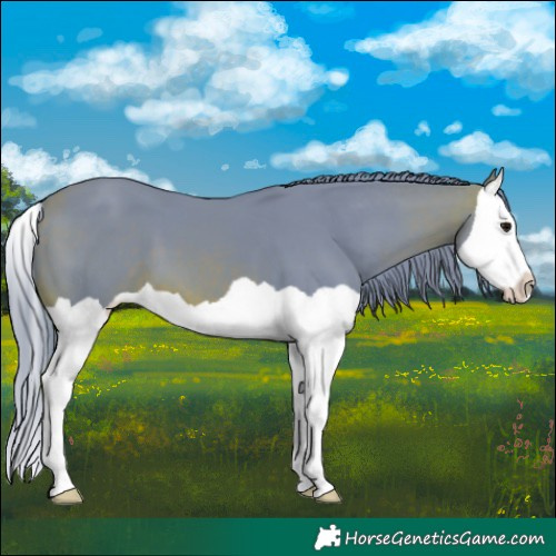 Horse Color:Watercolor Brown Splash 