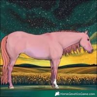 Horse Color:Watercolor Red Dun
