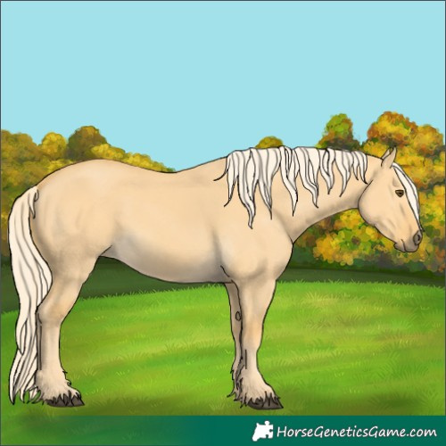 Horse Color:Palomino Dun 