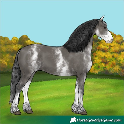 Horse Color:White Spotted Grullo 