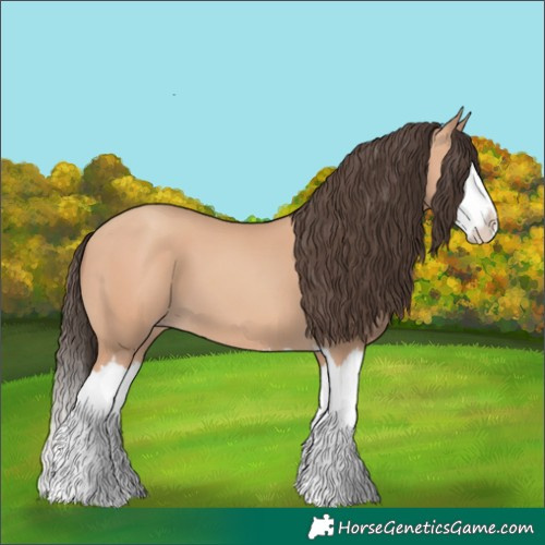 Horse Color:Amber Champagne Splash 