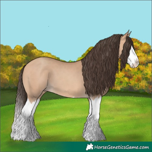 Horse Color:Amber Champagne Splash