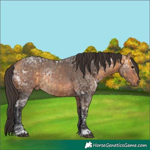 Horse Color:Buckskin and Bay Ice