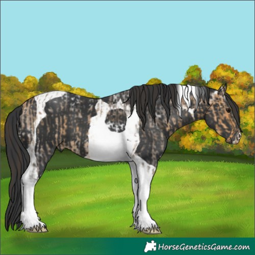Horse Color:Buckskin Ice Tobiano and Black Tobiano