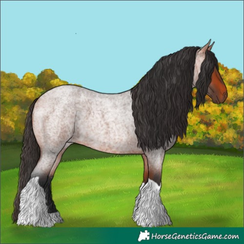 Horse Color:Bay Roan Tobiano