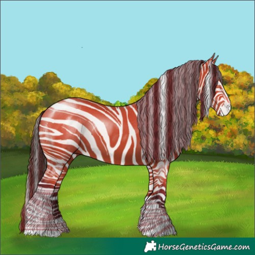 Horse Color:Bay Tobiano 