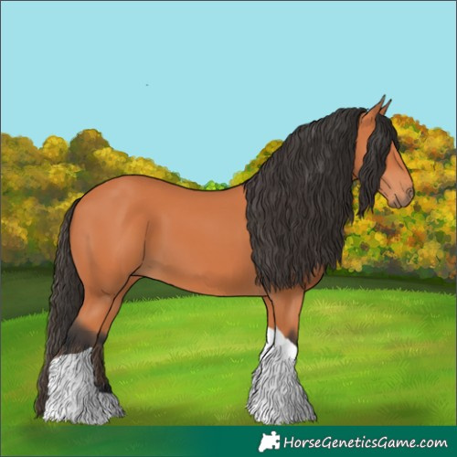 Horse Color:Bay Tobiano 