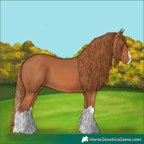 Horse Color:Chestnut Splash 