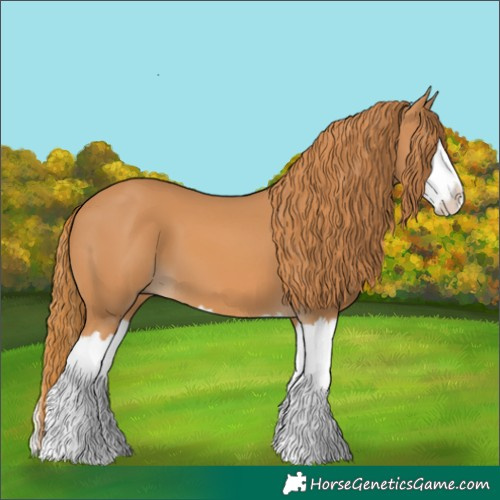 Horse Color:Chestnut Splash 