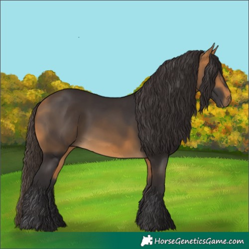 Horse Color:Buckskin 