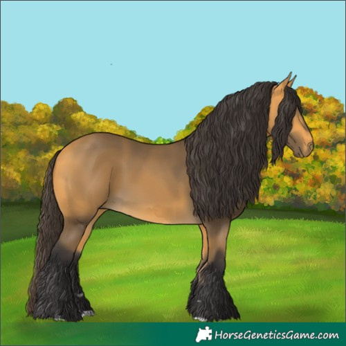 Horse Color:Buckskin 