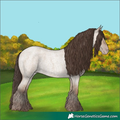 Horse Color:Classic Champagne Roan Dun 