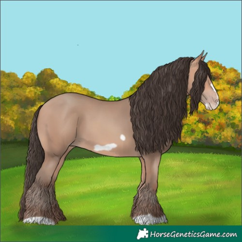 Horse Color:Amber Champagne Frame 