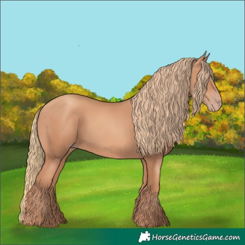 Horse Color:Gold Champagne 