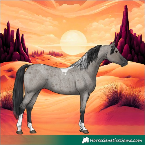 Horse Color:Grullo Roan Tobiano 