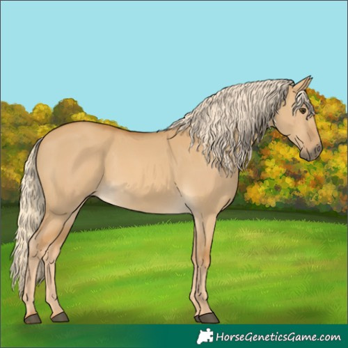 Horse Color:Palomino Dun 