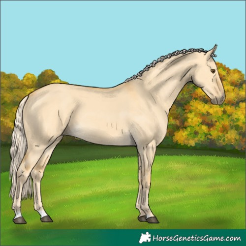 Horse Color:Palomino Dun 