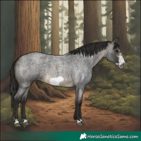 Horse Color:Buckskin Roan Sabino Frame