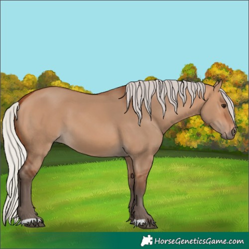 Horse Color:Silver Bay Dun