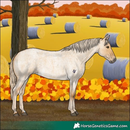 Horse Color:Palomino Roan Dun 
