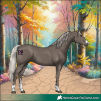 Horse Color:Silver Black 