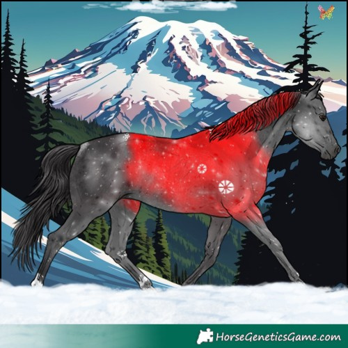 Horse Color:Black Rabicano 