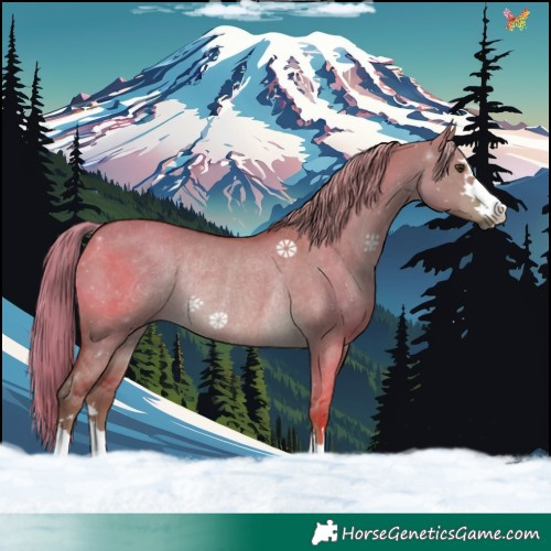 Horse Color:Watercolor Liver Red Dun Rabicano 