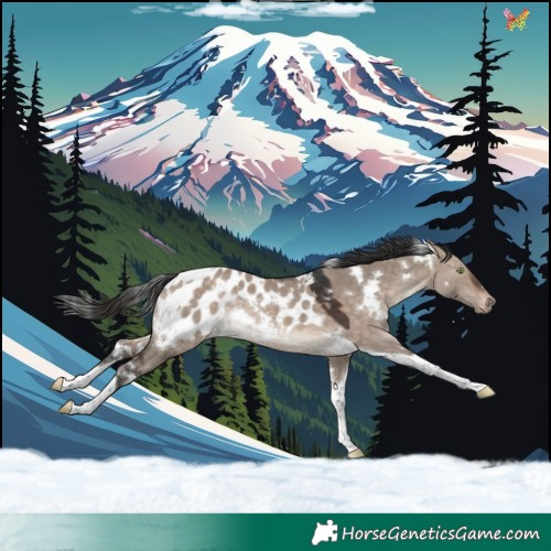 Horse Color:White Spotted Bay Dun Mushroom Tobiano Blanket Rabicano 