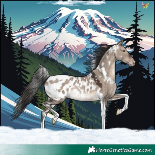 Horse Color:White Spotted Bay Dun Mushroom Tobiano Appaloosa Rabicano 