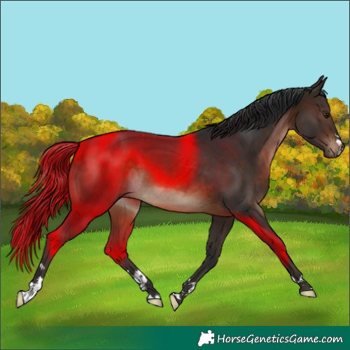 Horse Color:Brown 
