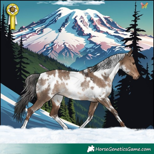 Horse Color:White Spotted Liver Red Dun Rabicano 