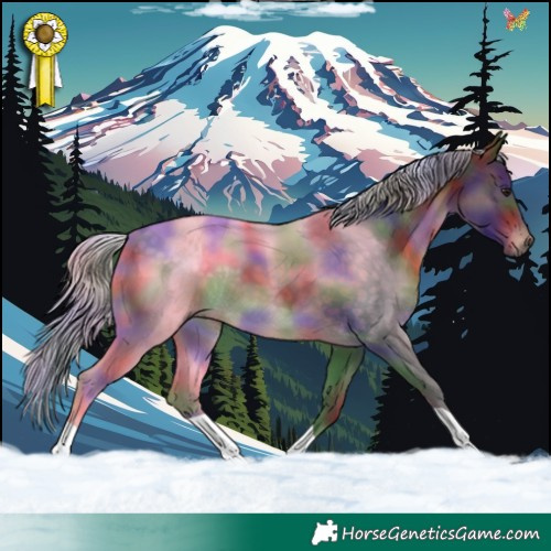 Horse Color:Nacre Silver Brown 