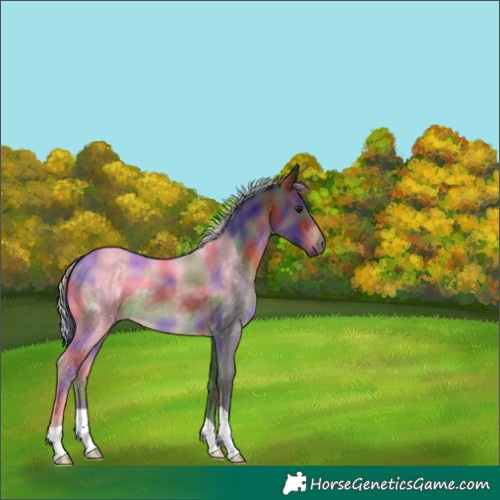 Horse Color:Nacre Silver Brown 