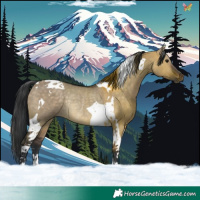 Horse Color:Brown Dun Tobiano Rabicano