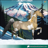 Horse Color:Brown Dun Tobiano Rabicano
