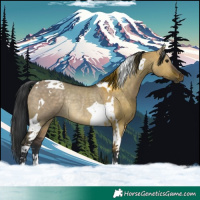 Horse Color:Brown Dun Tobiano Rabicano 