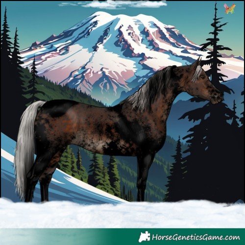Horse Color:Void White Spotted Silver Brown Tobiano Rabicano 