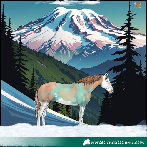 Horse Color:Gold Champagne Splash 