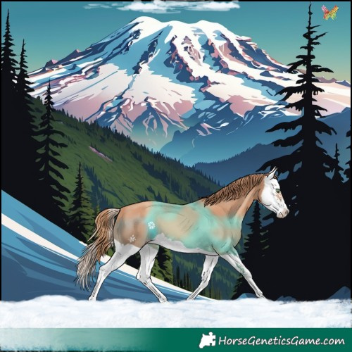 Horse Color:Gold Champagne Splash