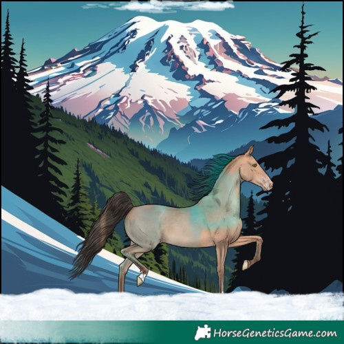 Horse Color:Amber Champagne 