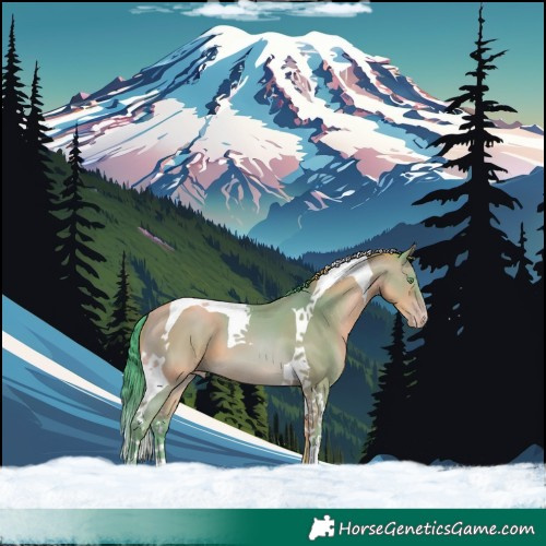 Horse Color:Watercolor Amber Champagne Tobiano 
