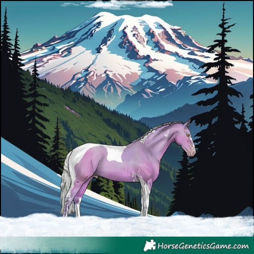 Horse Color:Watercolor Silver Amber Champagne Tobiano