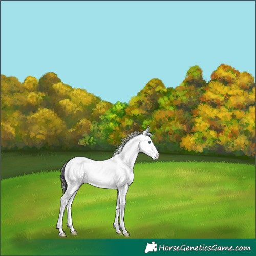 Horse Color:White Spotted Amber Champagne Dun Splash Tobiano 