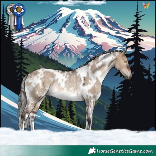 Horse Color:White Spotted Brown Dun Rabicano